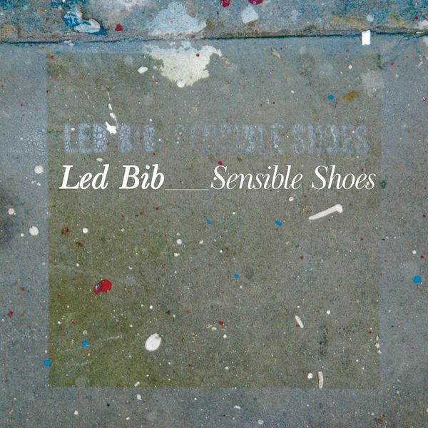 Cover of 'Sensible Shoes' - Led Bib